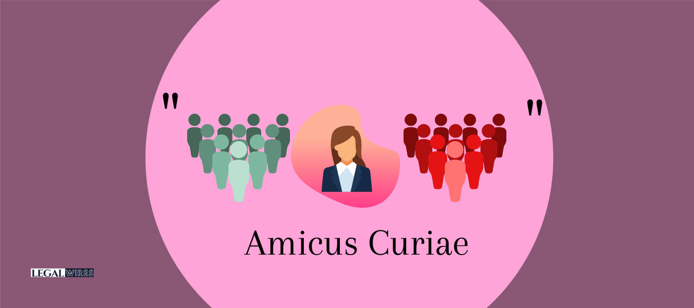 Amicus curiae